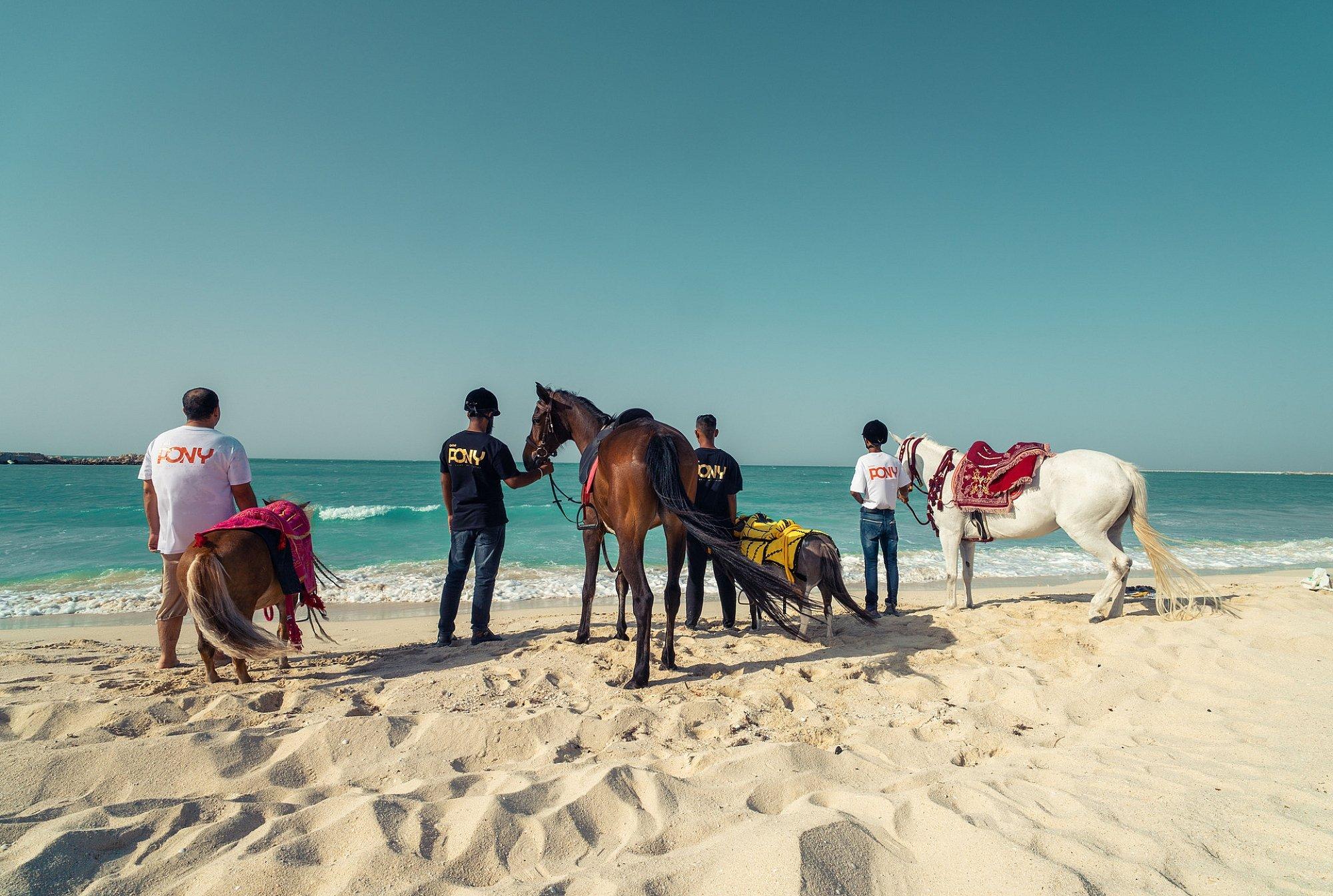 Horseback rides