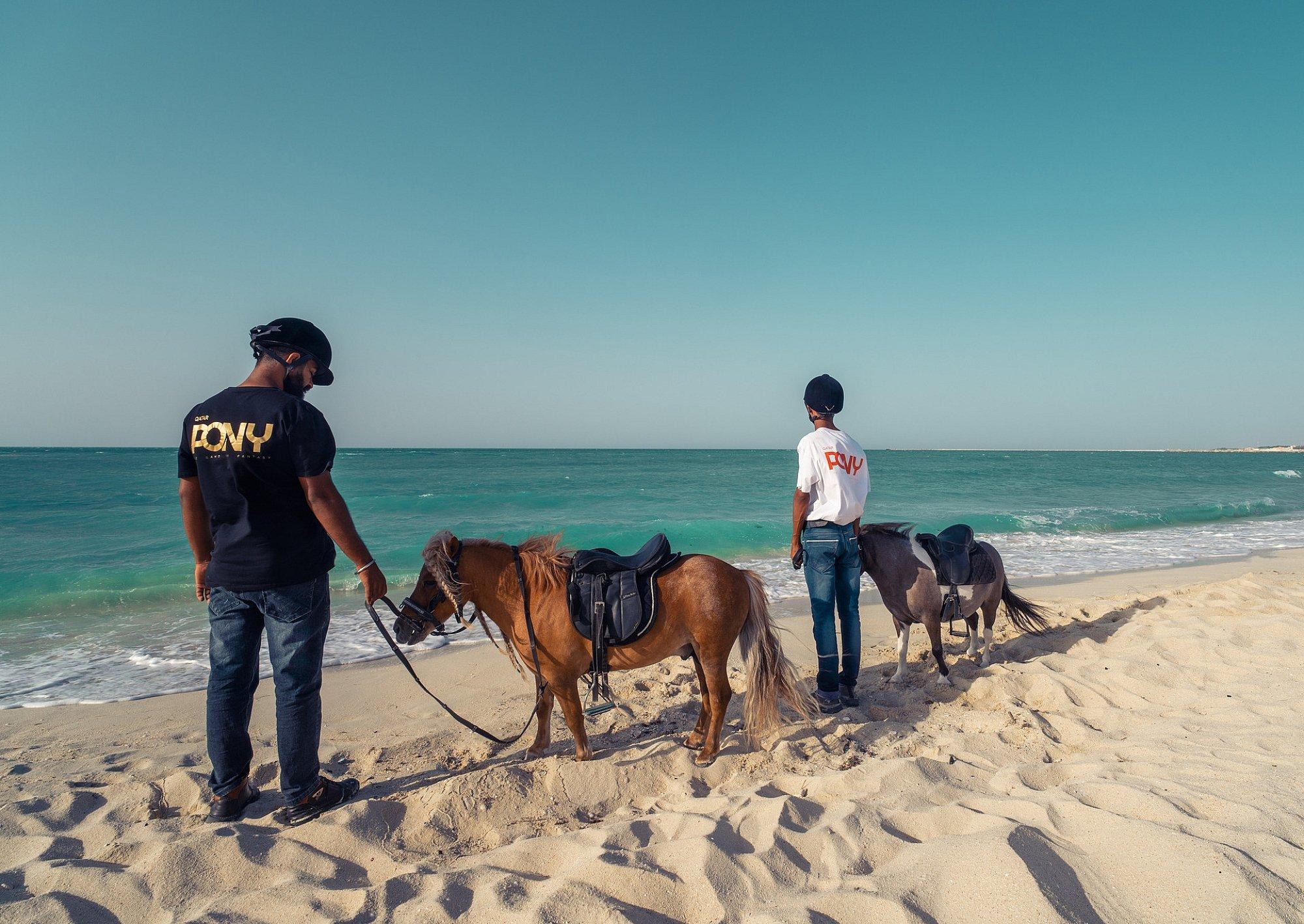 Ponies Rides