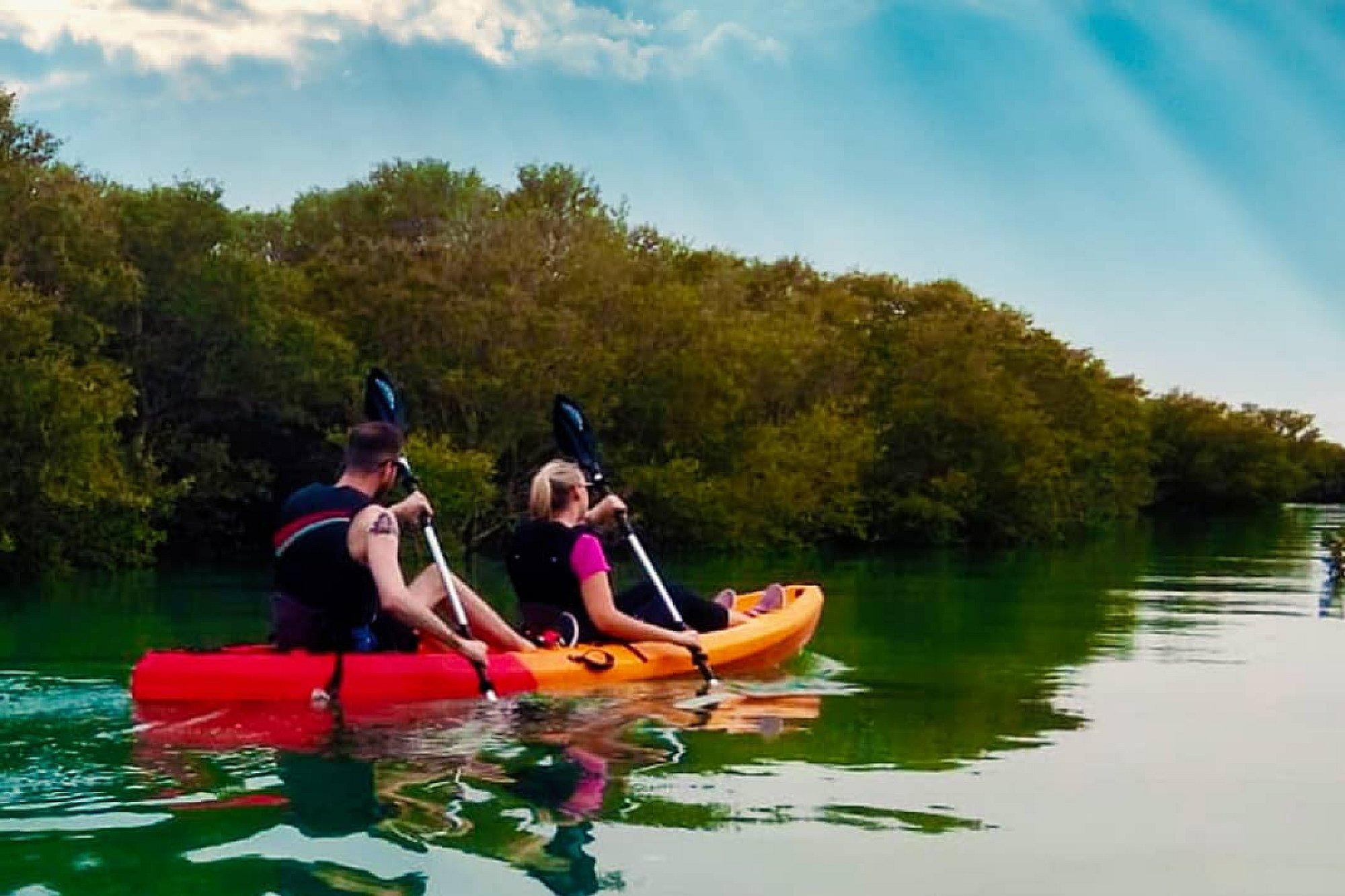 Mangroves Kayaking