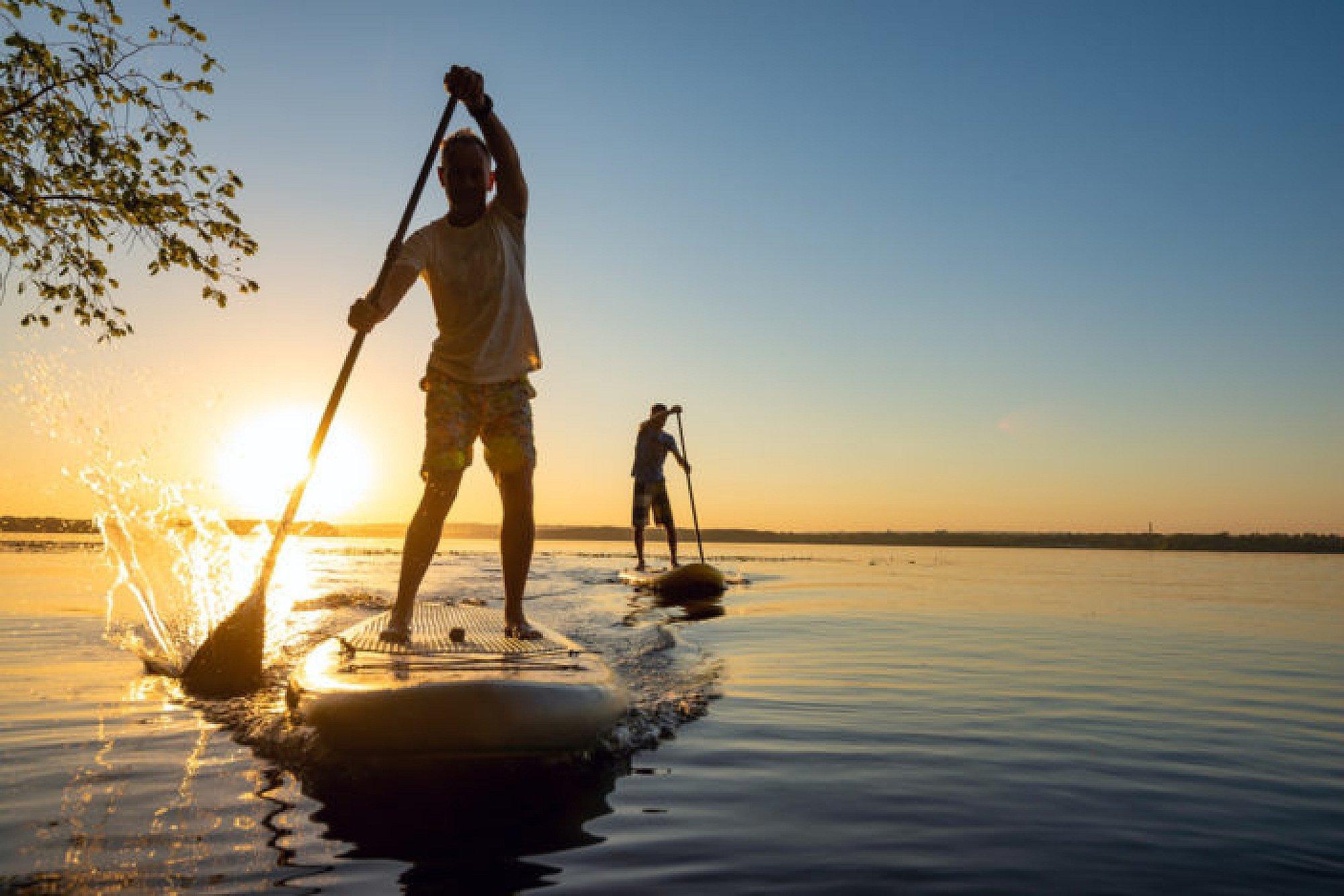 Mangroves paddleboarding